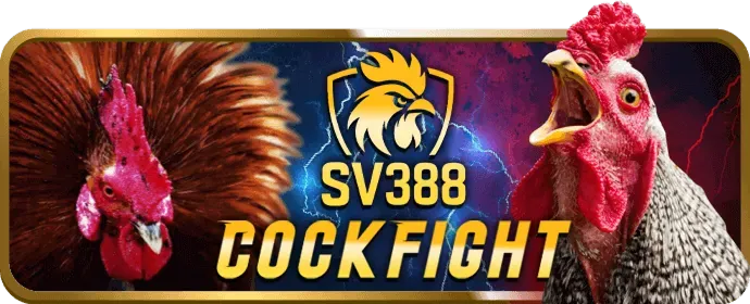 Biểu tượng tỷ lệ cược cao, tượng trưng cho tỷ lệ cược cạnh tranh tại w388bet